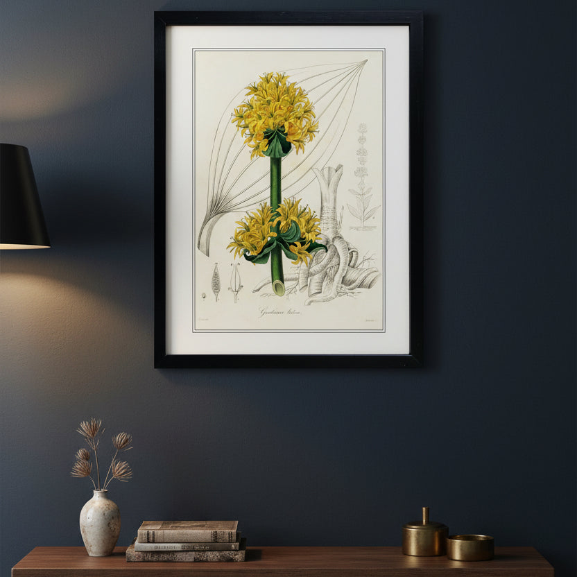 Victorian Botanical Scientific plant detail illustration | A3 Print | No.2