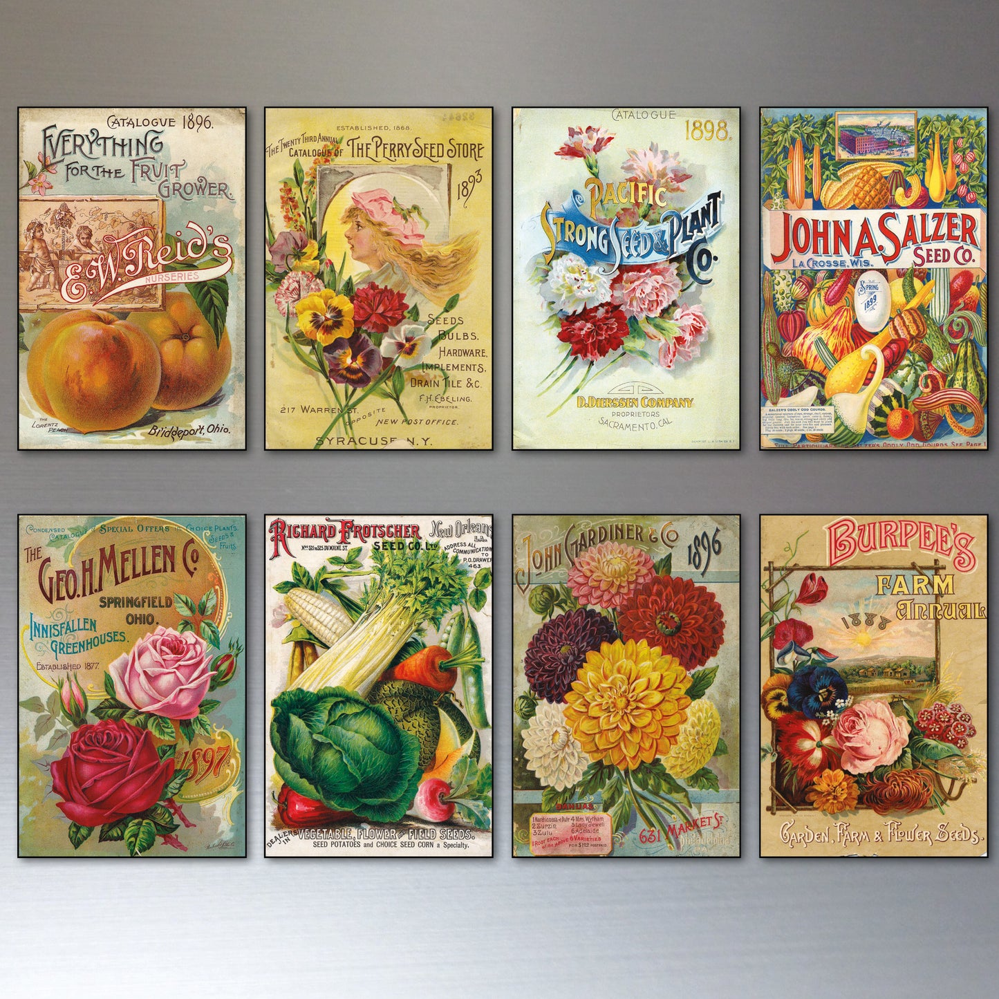 Vintage Botanical Seed Packet Fridge Magnets | Set of 8 | No.2