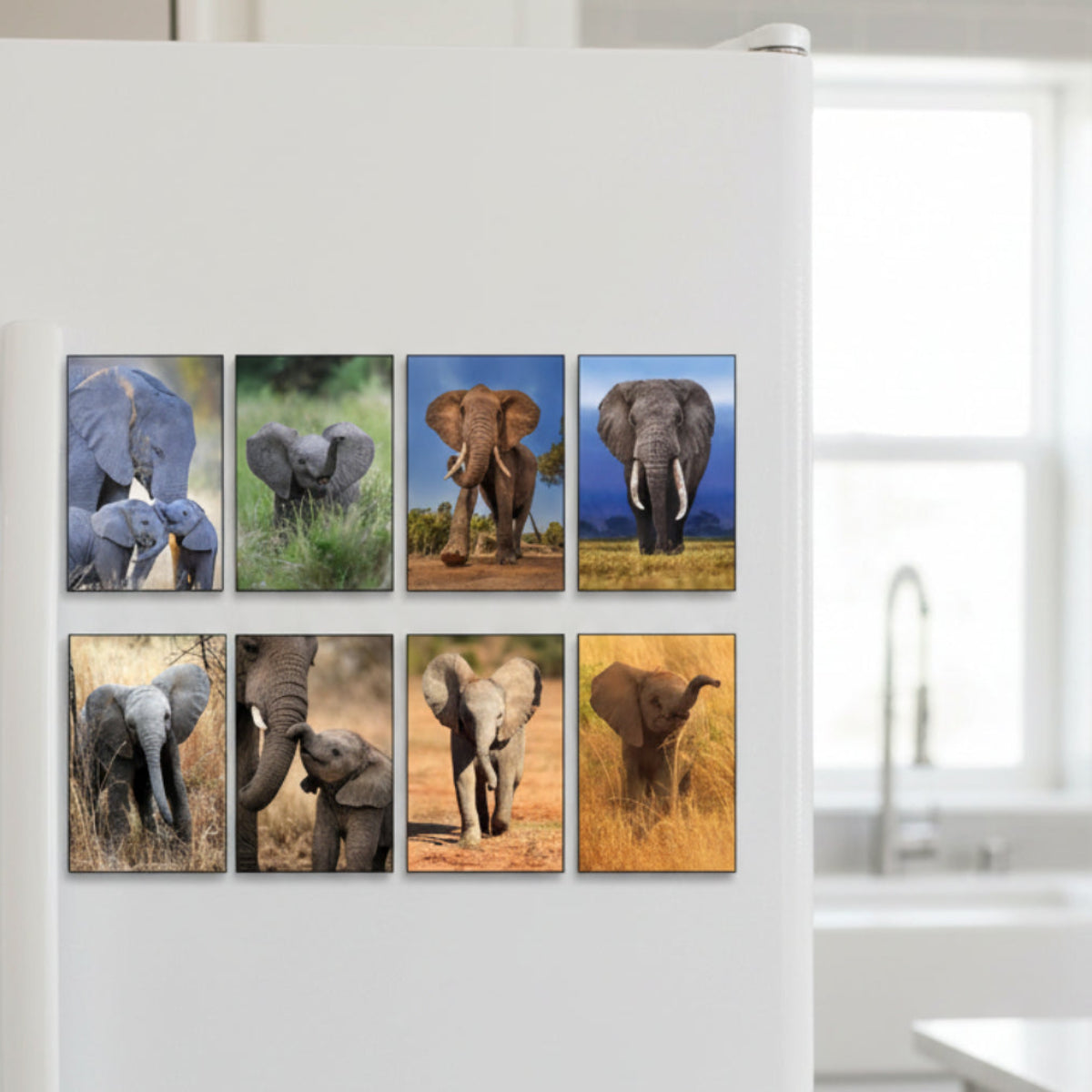 Set of eight framed vertical canvas prints depicting various scenes of African elephants, including adults, babies, and wildlife portraits, arranged in a 2x4 grid on a gray wall.