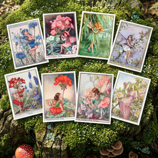 Mystical Vintage Fairies Illustration Postcards | Set of 8