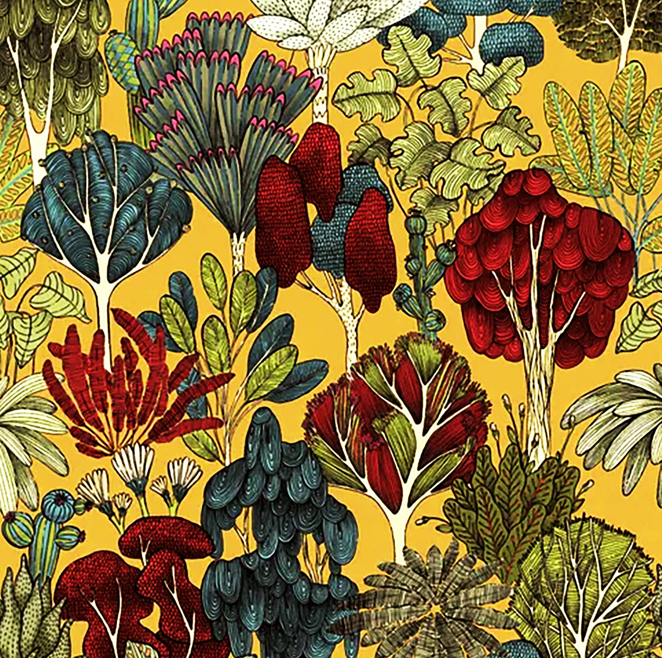 Botanical Prints