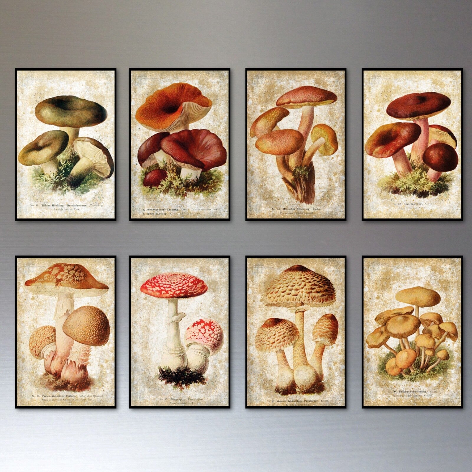 Set of 8 vintage Victorian mushroom illustration magnets, detailed foraging and pagan-inspired artwork, unbranded decorative magnets.