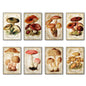 Set of 8 vintage Victorian mushroom illustration magnets for foraging and pagan decor, detailed botanical artwork for display.
