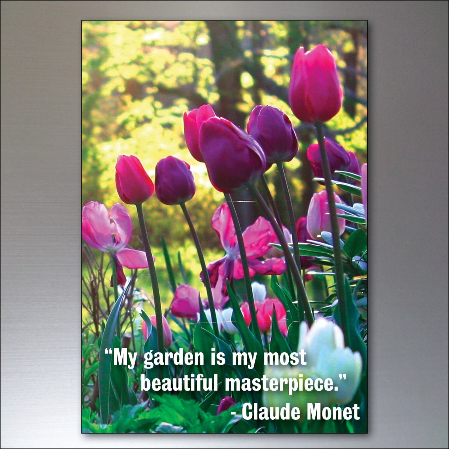 Set of 8 gardening inspiration quotes fridge magnets, featuring colorful designs and gardening-themed messages.