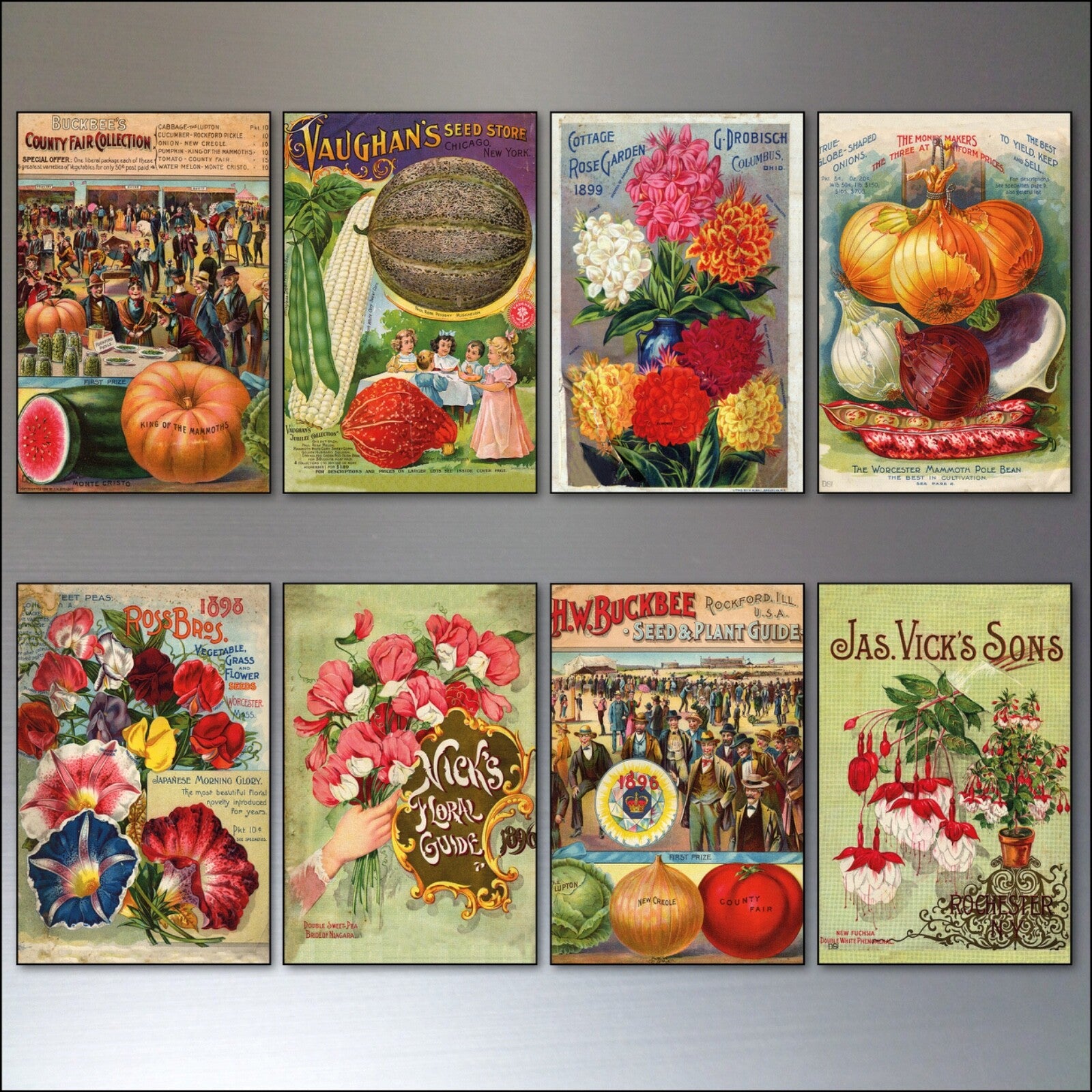 Set of 8 vintage botanical seed packet fridge magnets by bvdb featuring detailed plant illustrations and horticultural designs.