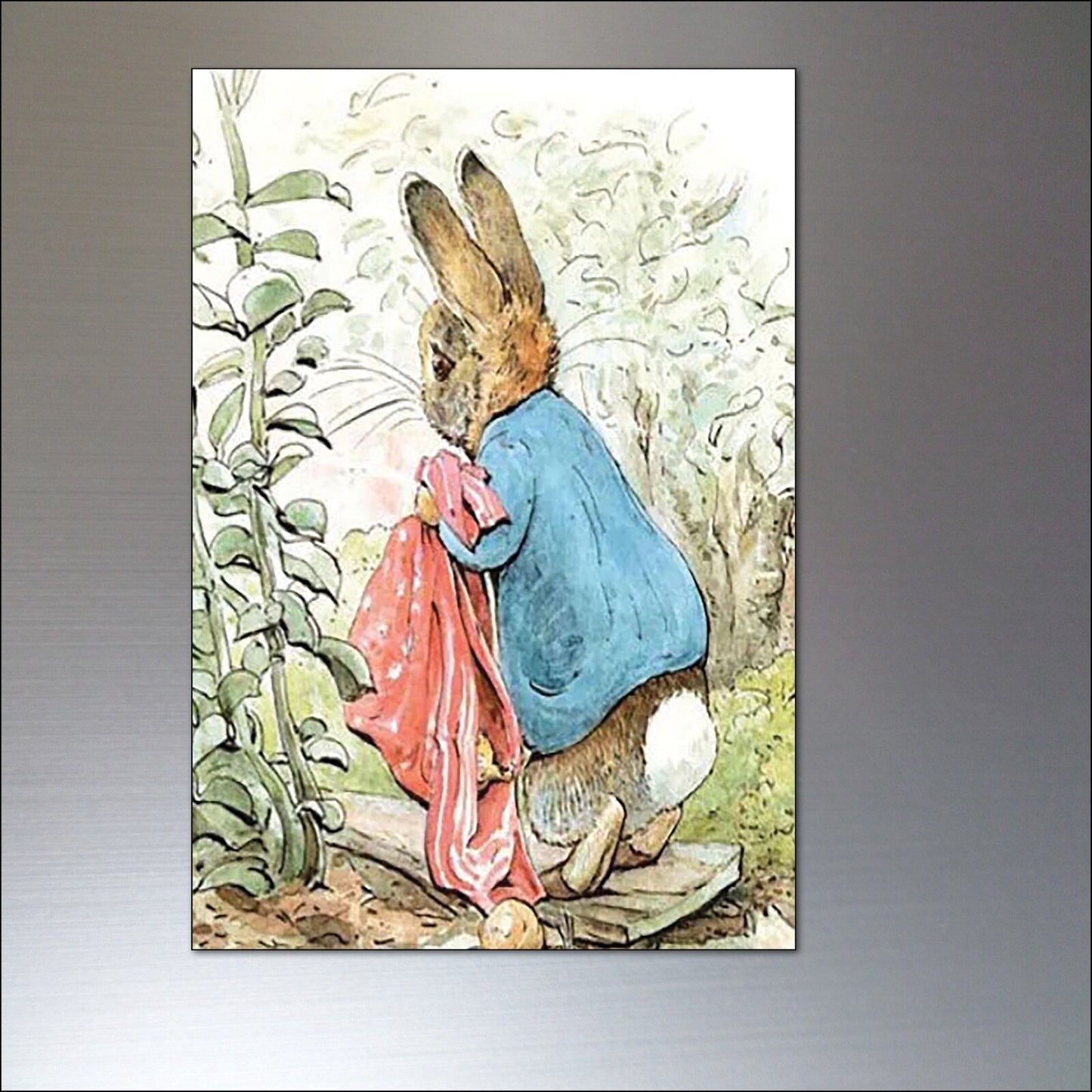 Vintage Peter Rabbit fridge magnets set of 8 featuring Beatrix Potter illustrations, colorful and detailed collectible magnets.