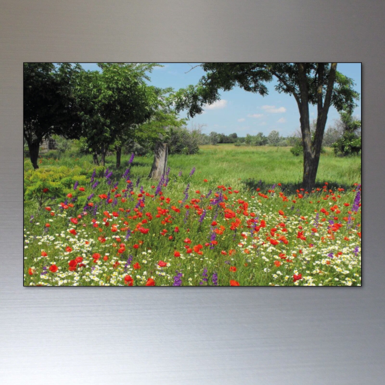 Set of 8 ancient woodland trees and meadows fridge magnets, decorative Unbranded woodland-themed magnets for refrigerators and appliances.