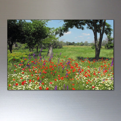Set of 8 ancient woodland trees and meadows fridge magnets, decorative Unbranded woodland-themed magnets for refrigerators and appliances.