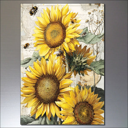 Set of 8 vintage sunflower fridge magnets by Summer featuring sunny flower paintings for decorative kitchen accents.
