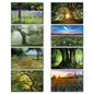 Set of 8 ancient woodland trees and meadows fridge magnets, decorative nature-themed magnets for refrigerator decor.