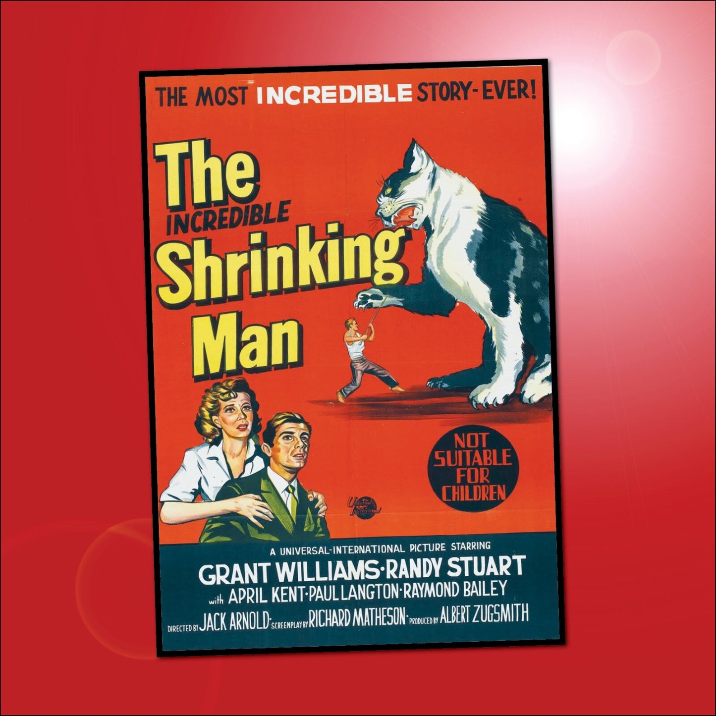 Set of 8 flexible fridge magnets featuring classic B movie film poster designs, perfect for decorating your refrigerator.