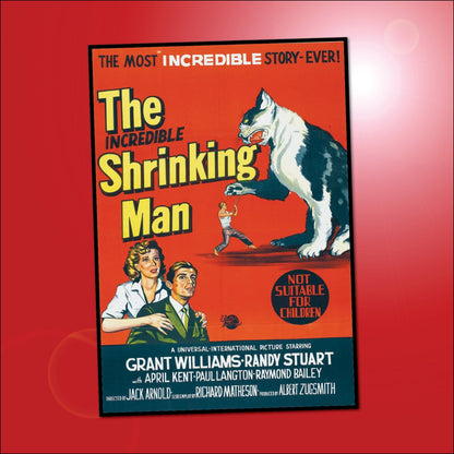 Set of 8 flexible fridge magnets featuring classic B movie film poster designs, perfect for decorating your refrigerator.