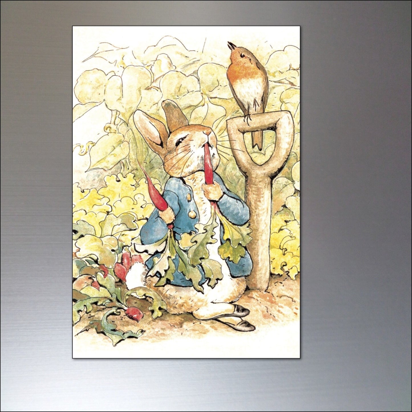 Vintage Peter Rabbit fridge magnets set of 8 featuring Beatrix Potter illustrations in colorful, detailed designs.
