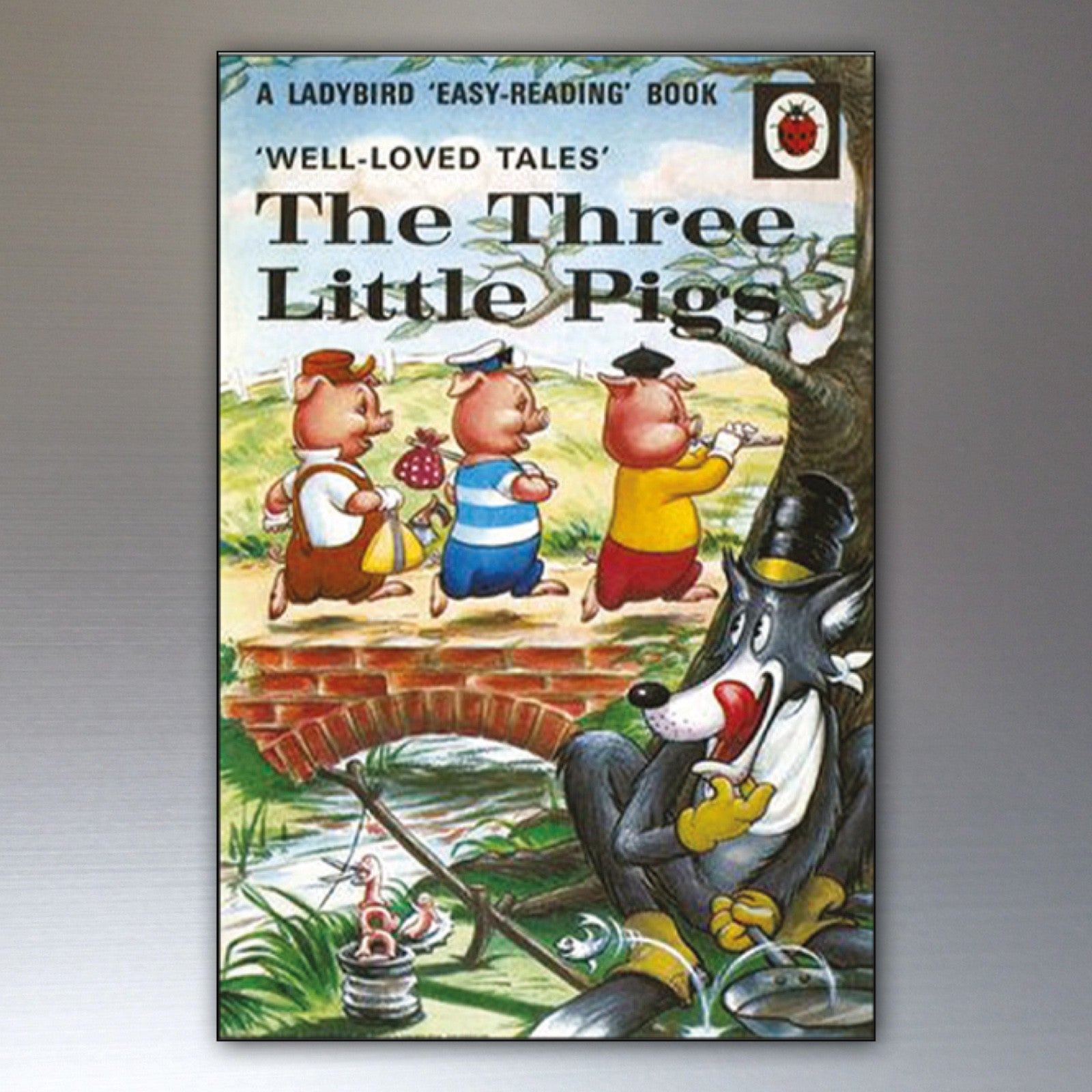 Set of 8 vintage Ladybird book cover fridge magnets featuring colorful, nostalgic ladybird illustrations on a magnetic surface.