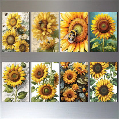 Set of 8 vintage sunflower fridge magnets featuring sunny flower paintings by Summer, perfect for refrigerator decor.