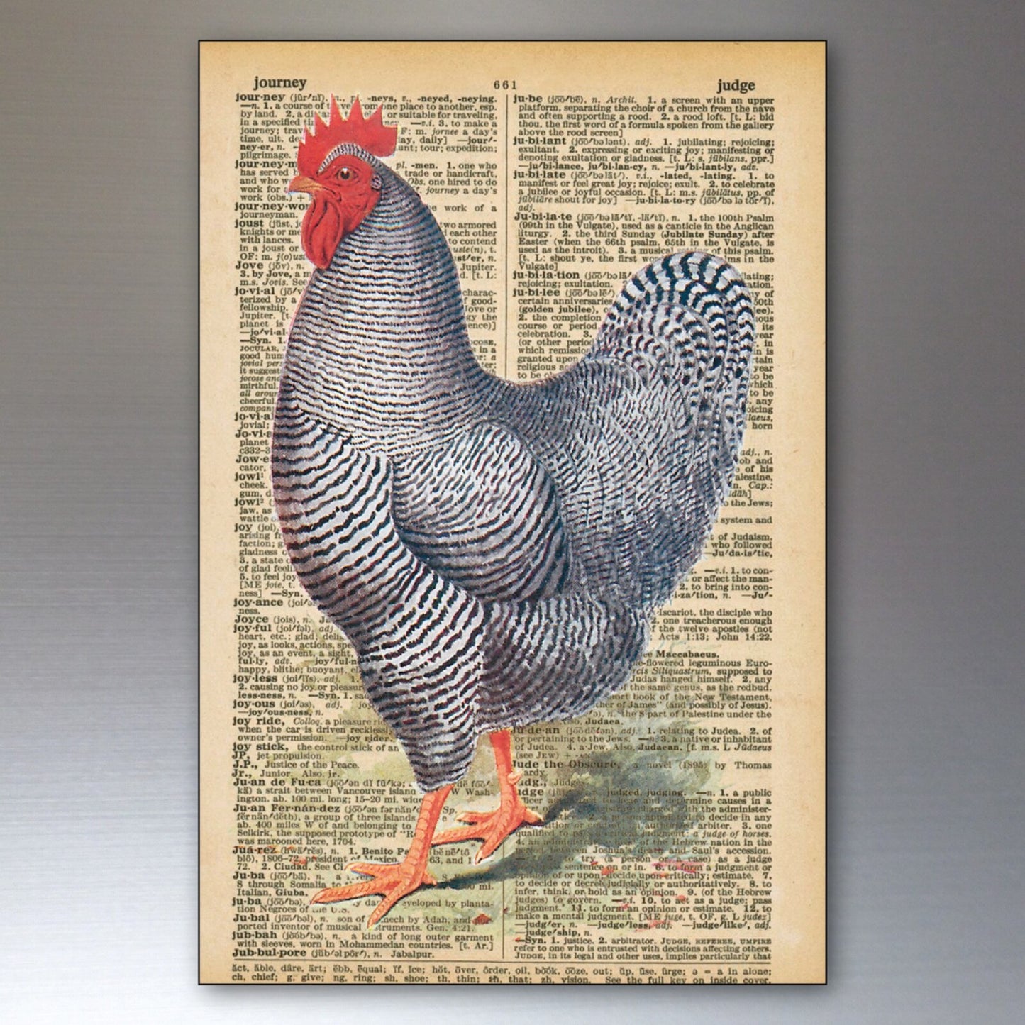 Set of 8 retro chicken keeper fridge magnets featuring thin decorative art designs, ideal for refrigerator decoration.