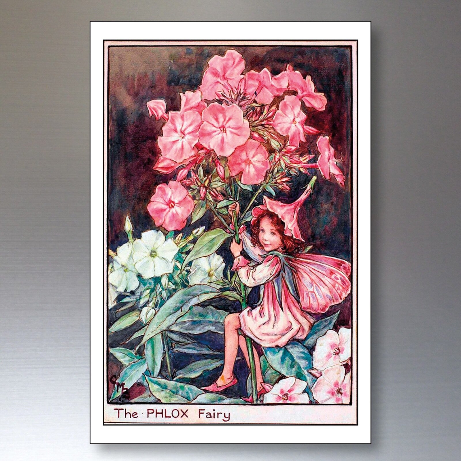 Set of 8 vintage Fairy Victorian garden fairy fridge magnets with whimsical fairy illustrations for decorative display.