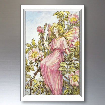 Set of 8 vintage fairy Victorian garden fairy fridge magnets with decorative Victorian illustrations on colorful magnets.
