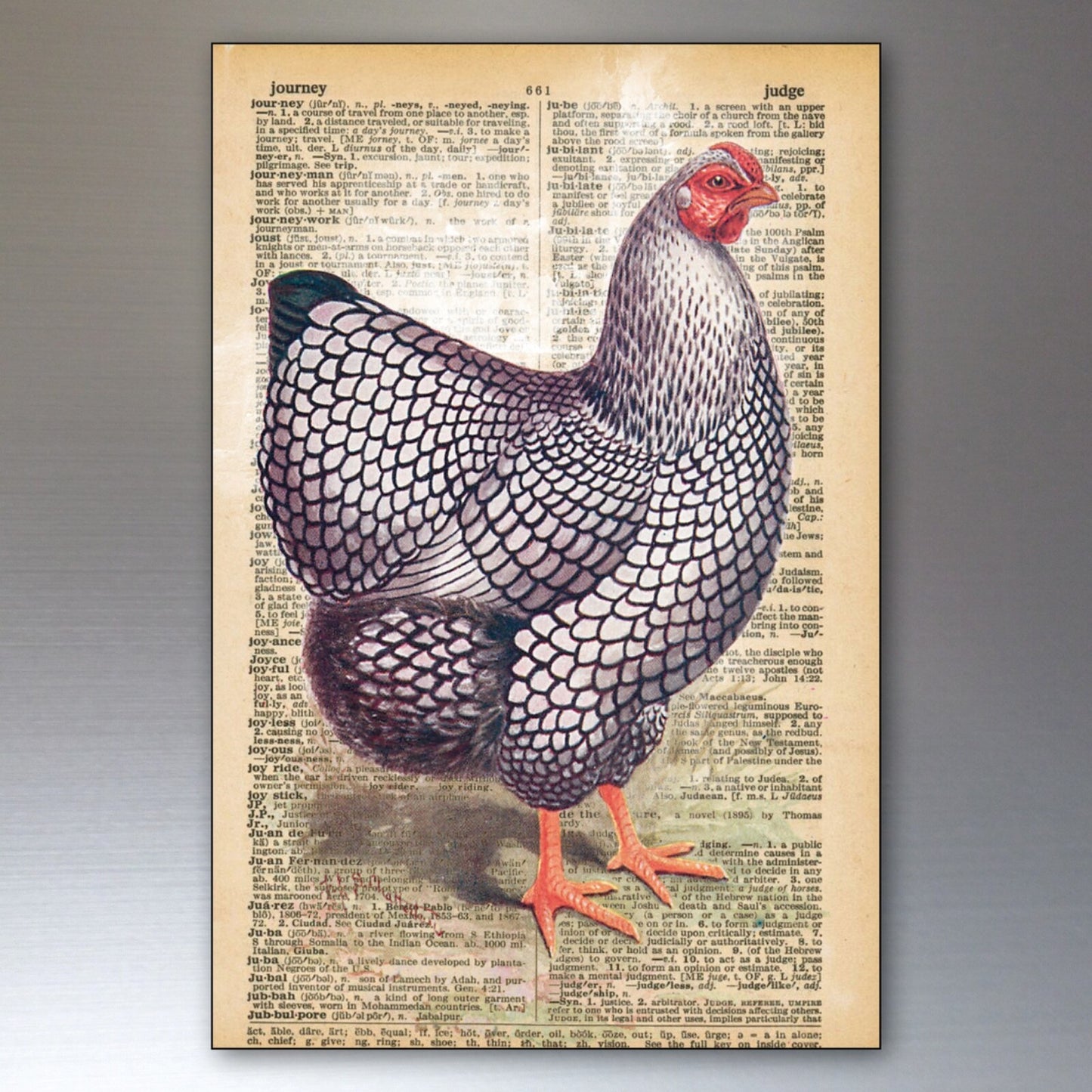 Set of 8 retro chicken-themed decorative fridge magnets from Chicken, featuring thin, artistic chicken keeper designs.