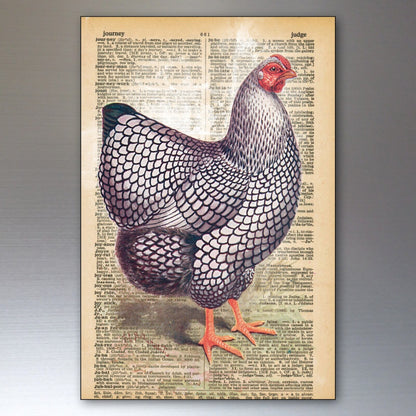 Set of 8 retro chicken-themed decorative fridge magnets from Chicken, featuring thin, artistic chicken keeper designs.