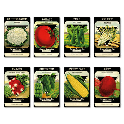 Set of 8 vintage botanical seed packet fridge magnets featuring detailed floral and plant illustrations, no brand, decorative kitchen decor