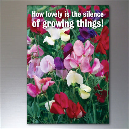 Set of 8 gardening inspiration quotes fridge magnets, featuring colorful designs and motivational messages for home decor.