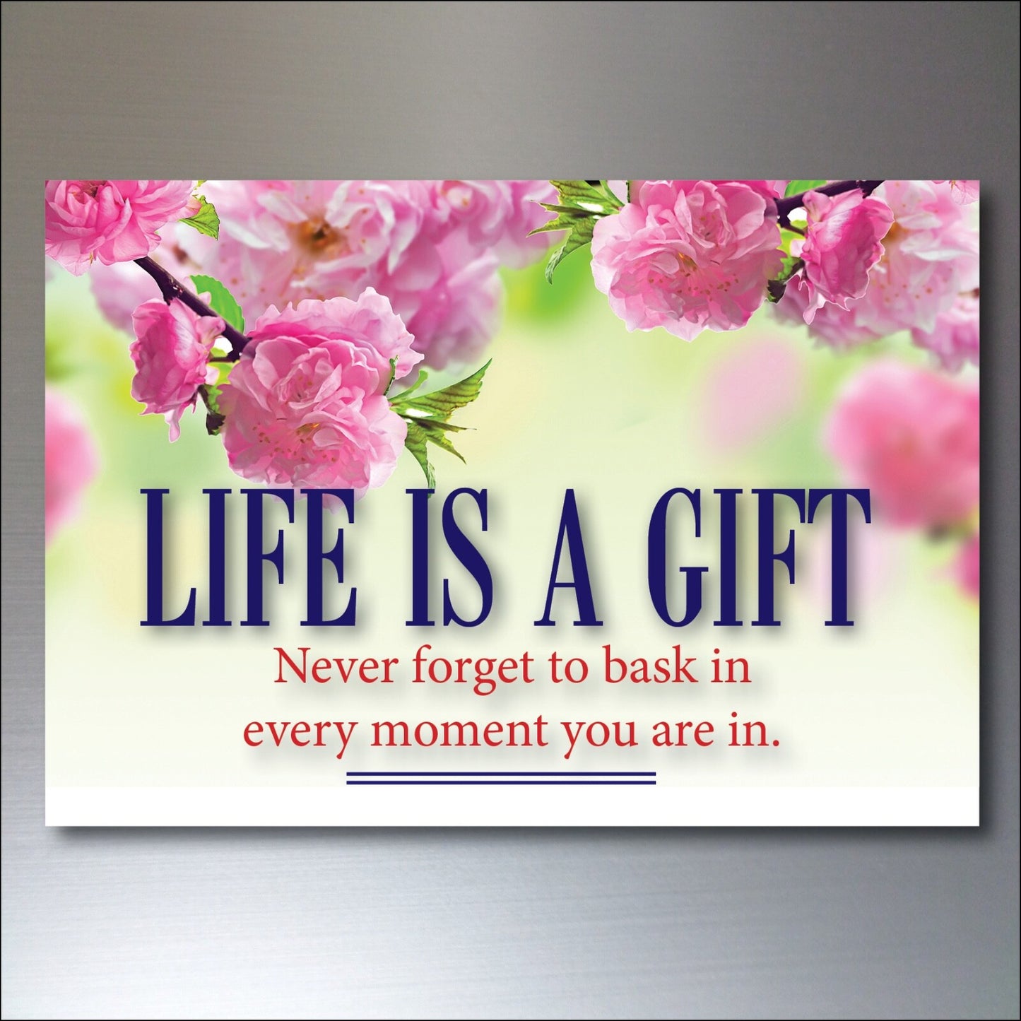Set of 8 wellness motivational and inspirational quotes fridge magnets, colorful and designed for inspiring messages.