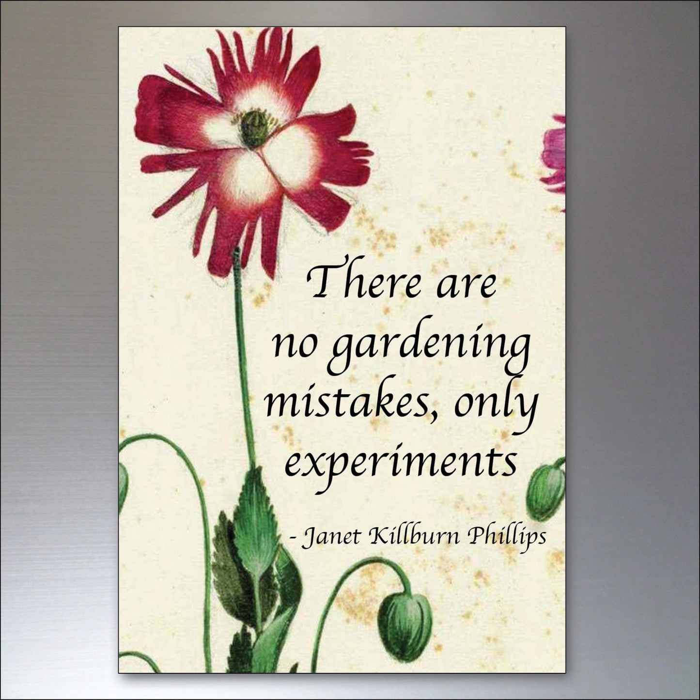Set of 8 gardening inspiration quotes fridge magnets with colorful designs, perfect for decorating and inspiring in the kitchen.