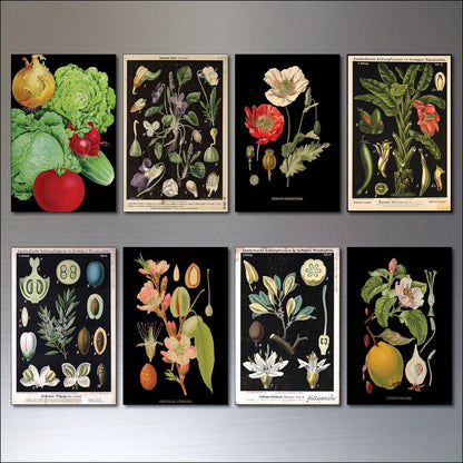 Set of 8 vintage Victorian botanical illustration fridge magnets by Scientific, featuring detailed floral and plant images.