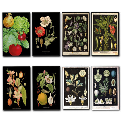 Set of 8 vintage Victorian botanical illustration fridge magnets by Scientific, featuring detailed plant designs on magnetic backing.