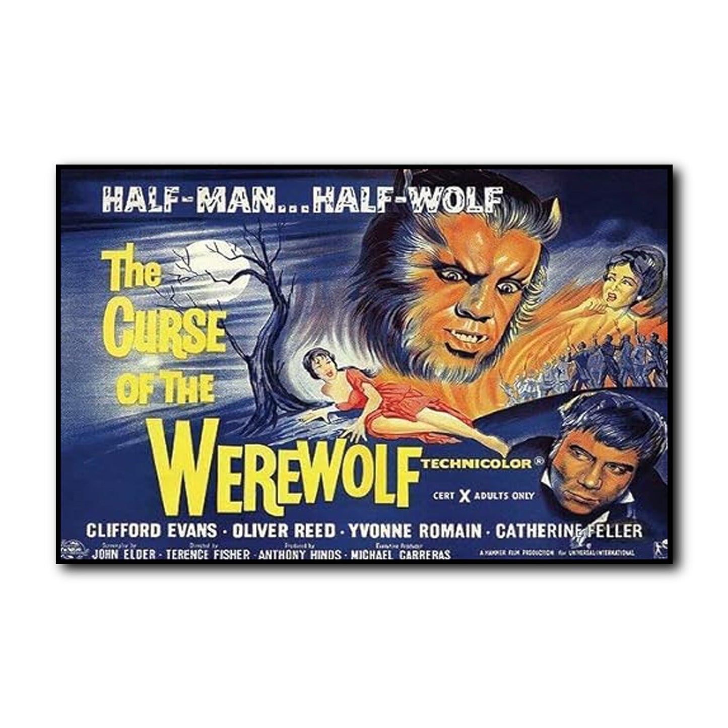 Set of 8 vintage Hammer Horror movie poster fridge magnets featuring classic horror film artwork and iconic characters.