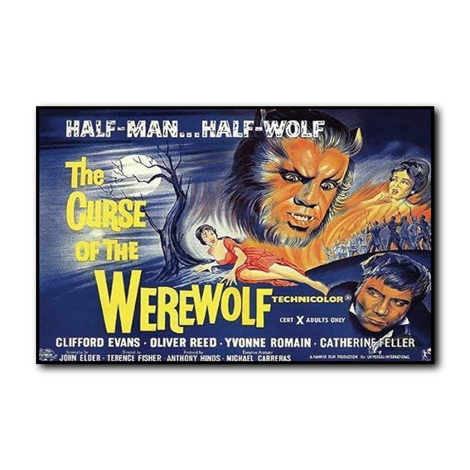 Set of 8 vintage Hammer Horror movie poster fridge magnets featuring classic horror film artwork and iconic characters.