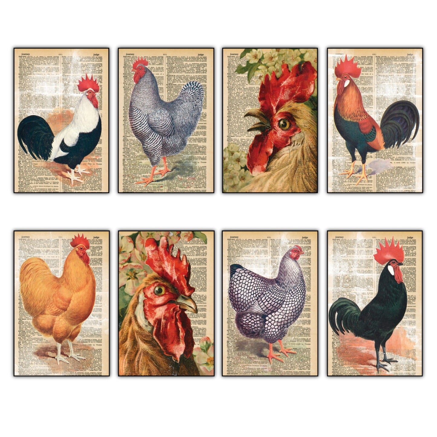 Set of 8 retro chicken-themed fridge magnets featuring thin decorative art designs, perfect for kitchen decor.