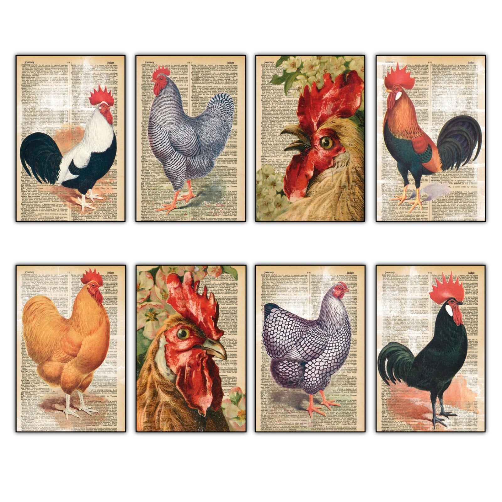 Set of 8 retro chicken-themed fridge magnets featuring thin decorative art designs, perfect for kitchen decor.