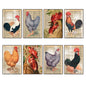 Set of 8 retro chicken-themed fridge magnets featuring thin decorative art designs, perfect for kitchen decor.