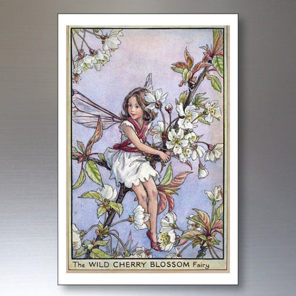 Set of 8 vintage fairy Victorian illustration garden fairies fridge magnets featuring decorative fairy images on metal magnets.