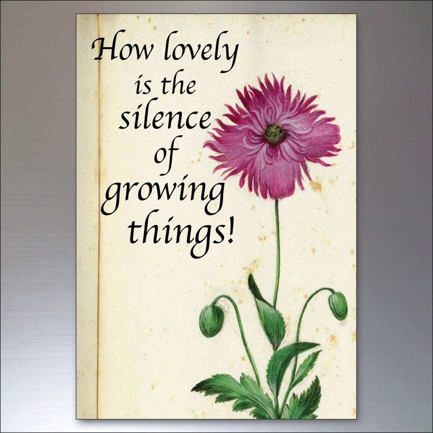 Set of 8 gardening inspiration quotes fridge magnets with colorful designs, perfect for decorating your kitchen or refrigerator.