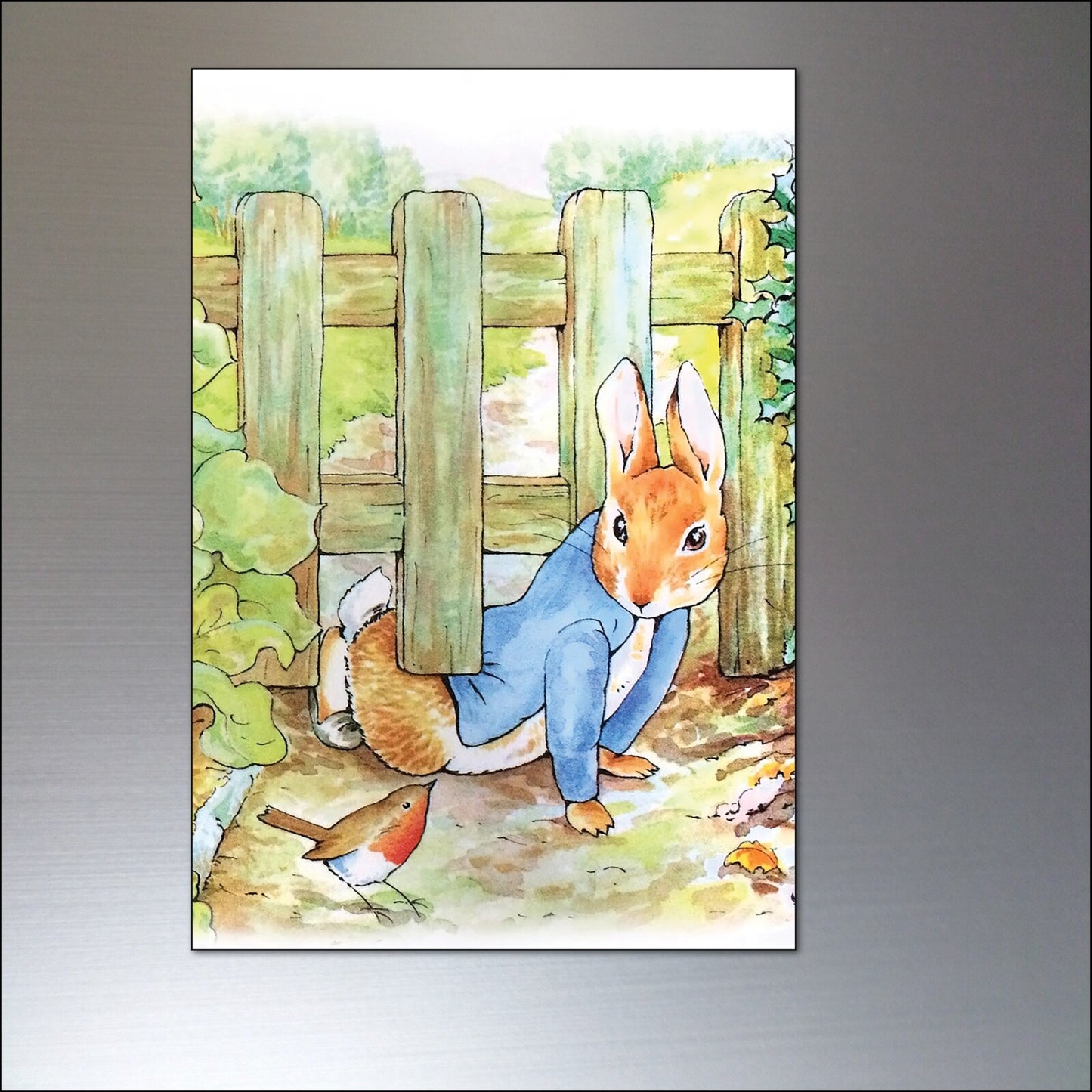 Vintage Peter Rabbit fridge magnets set of 8 featuring Beatrix Potter illustrations, colorful and charming collectible kitchen decor.