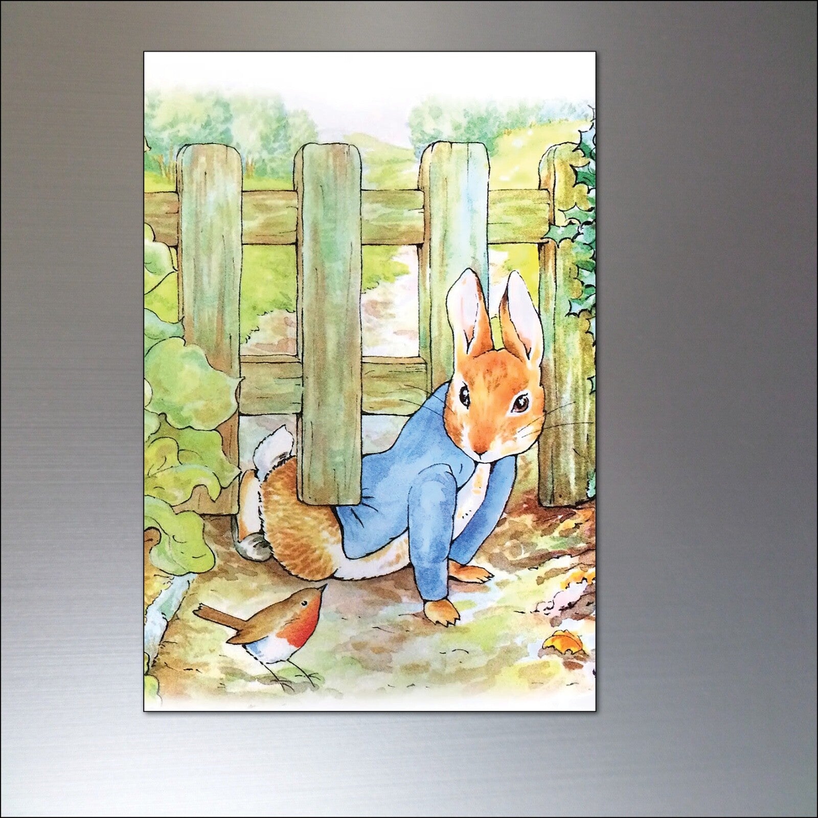 Vintage Peter Rabbit fridge magnets set of 8 featuring Beatrix Potter illustrations, colorful and charming collectible kitchen decor.