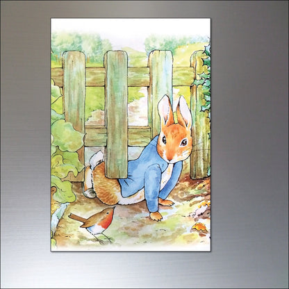 Vintage Peter Rabbit fridge magnets set of 8 featuring Beatrix Potter illustrations, colorful and charming collectible kitchen decor.