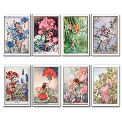 Vintage fairy Victorian illustration fridge magnets set of 8, featuring garden fairies with intricate decorative designs.