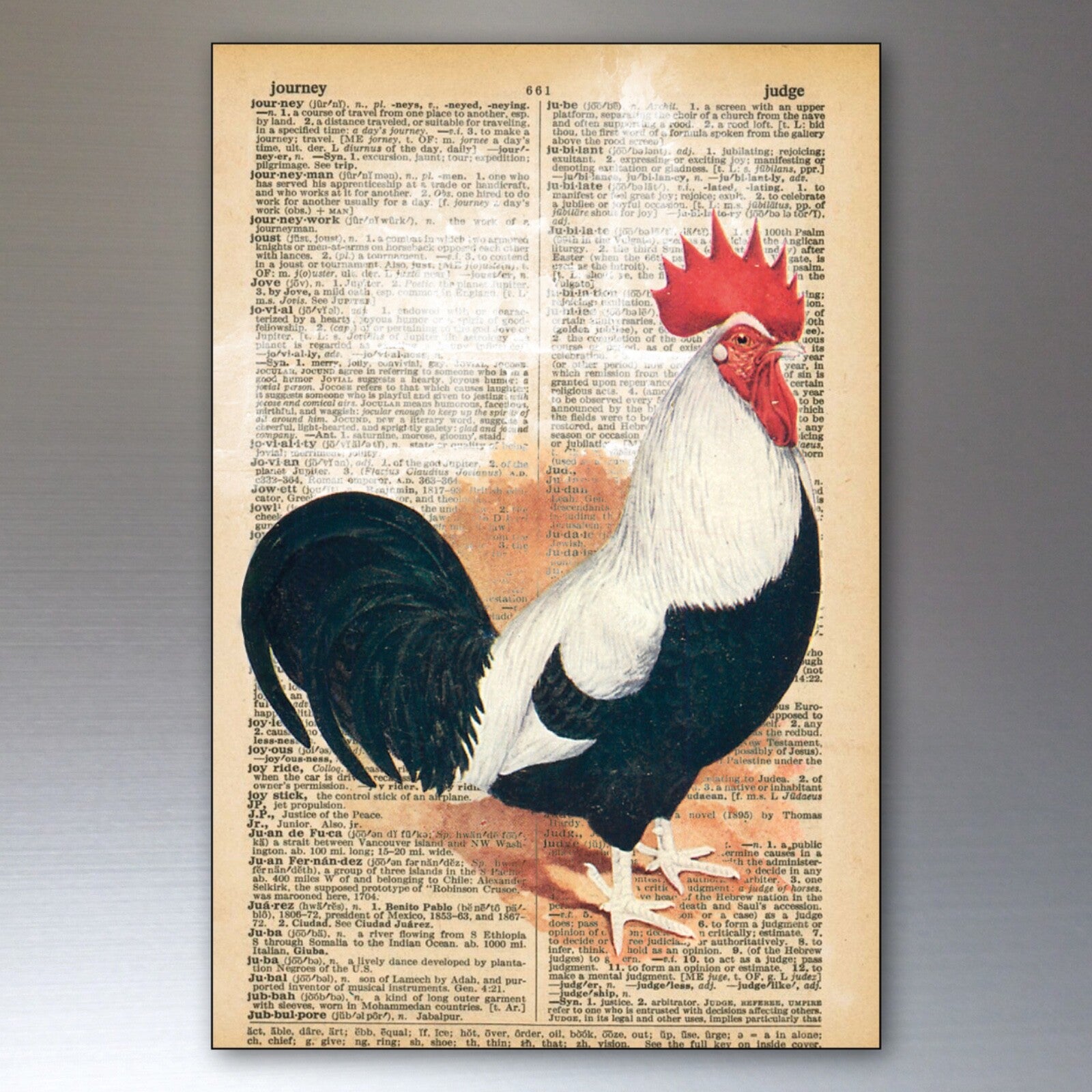 Set of 8 retro chicken-themed fridge magnets featuring decorative, thin art designs by Chicken brand.
