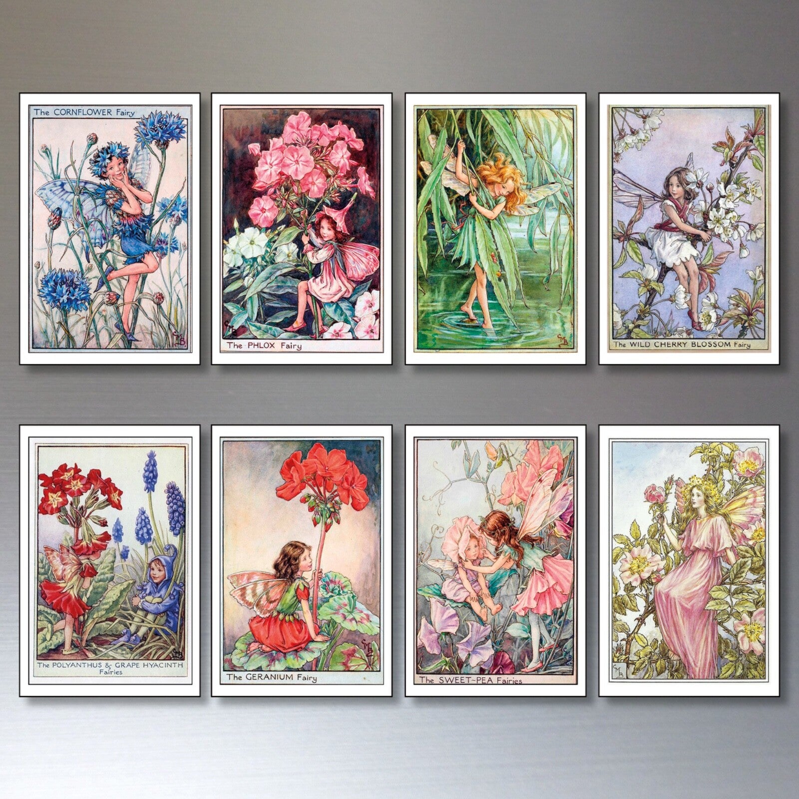 Vintage Fairy Victorian illustration garden fairies fridge magnets set of 8, colorful decorative fairy images on magnetic backing.