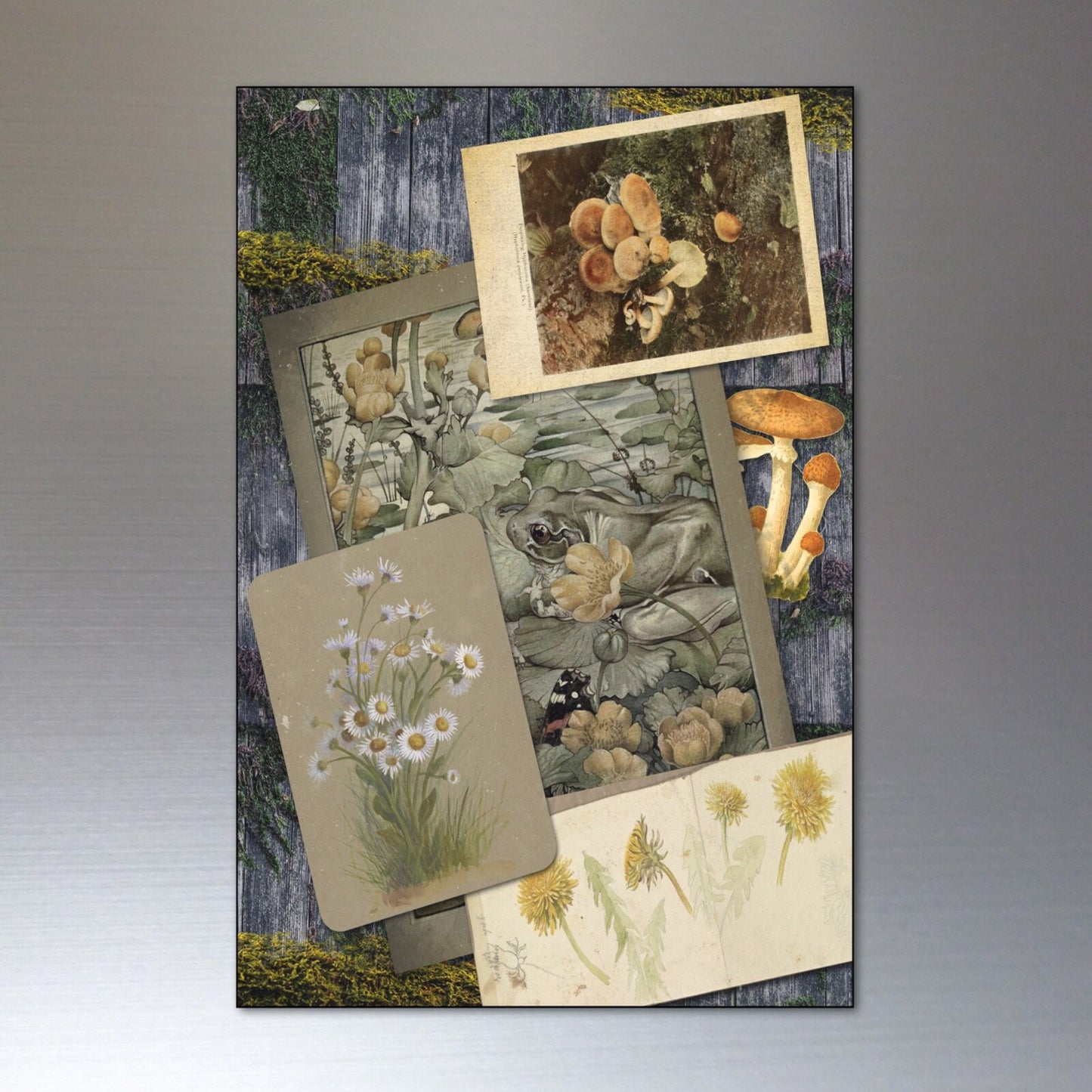 Vintage Victorian mystic design pagan life fridge magnets set with decorative, mystical symbols on colorful magnetic surfaces.