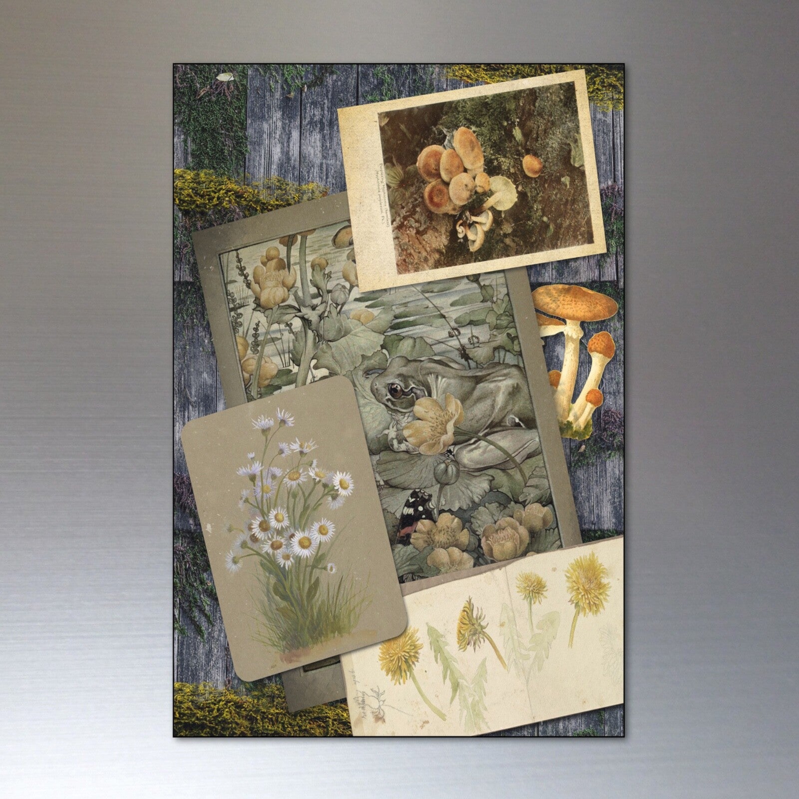 Vintage Victorian mystic design pagan life fridge magnets set with decorative, mystical symbols on colorful magnetic surfaces.