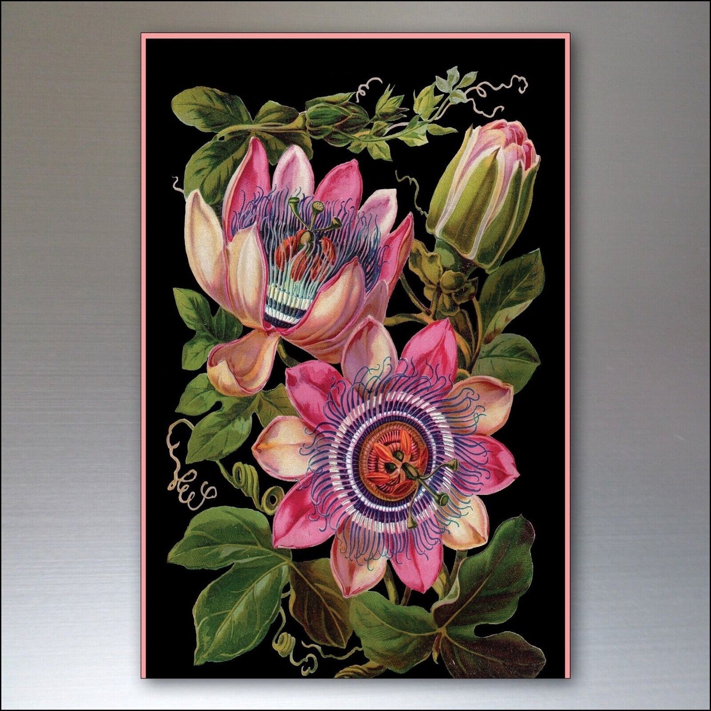 Set of 8 vintage Victorian botanical illustrations fridge magnets, featuring detailed floral and plant designs.