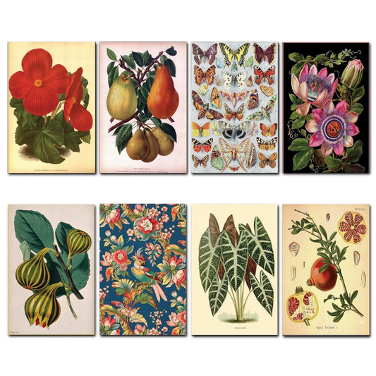 Set of 8 vintage Victorian botanical illustrations fridge magnets, featuring detailed floral and plant designs.