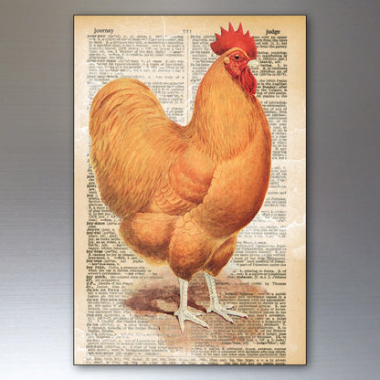 Set of 8 Chicken brand retro fridge magnet art magnets featuring thin decorative chicken-themed designs.