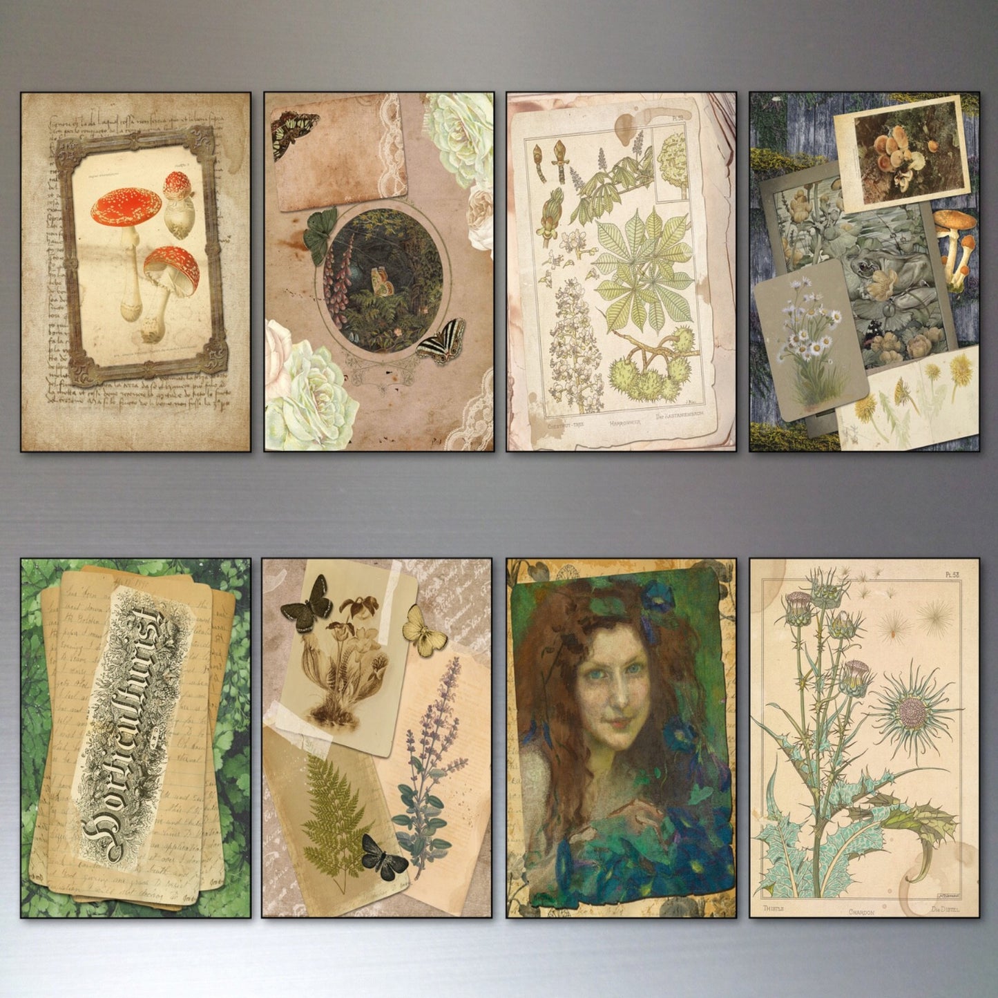 Vintage Victorian mystic design pagan life fridge magnets set with ornate, mystical symbols on decorative magnetic clips.