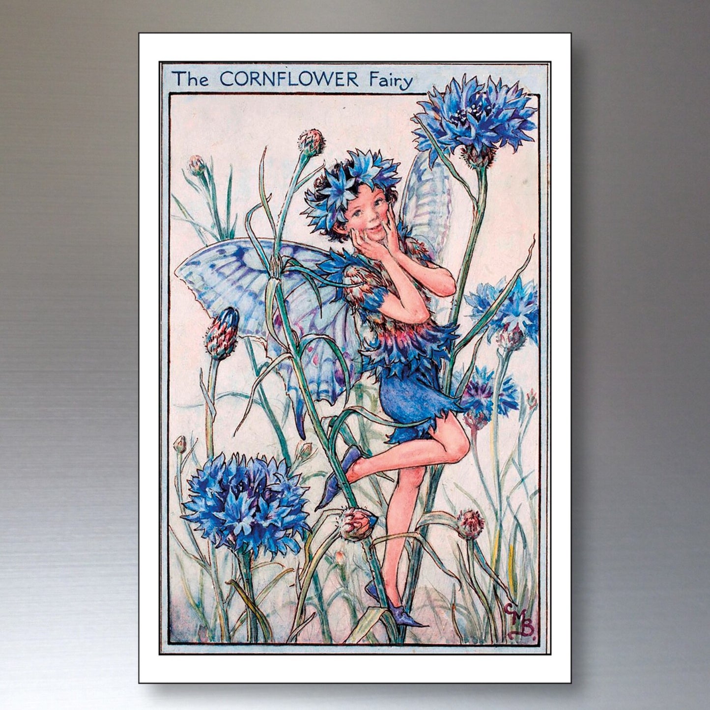 Set of 8 vintage fairy Victorian garden fairy fridge magnets with decorative Victorian illustrations, perfect for decorating refrigerators.